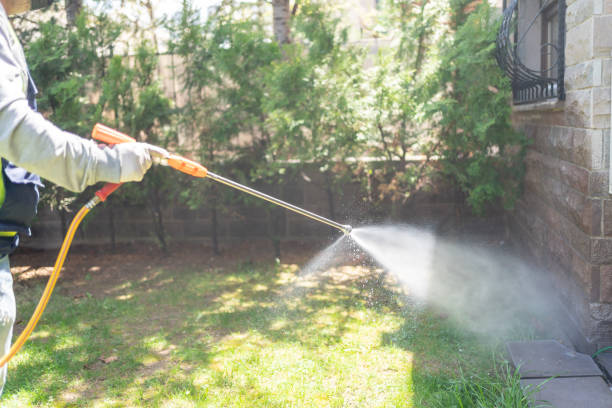 Best Pest Exclusion Services  in Bray, OK